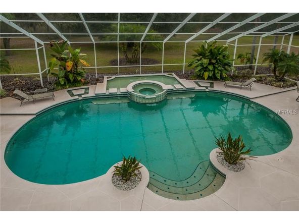2270 N. Highland Avenue, Tarpon Springs, FL 34688 Photo 16
