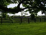 5222 Paris Pike, Lexington, KY 40511 Photo 47