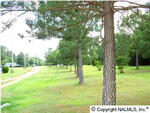 100 Cabana Ln., Albertville, AL 35951 Photo 2