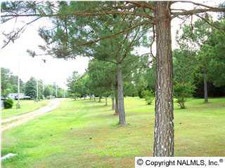 100 Cabana Ln., Albertville, AL 35951 Photo 2