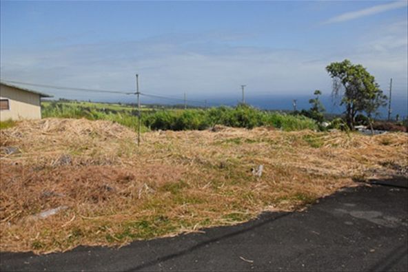 43-1512 Hauola Rd., Paauilo, HI 96776 Photo 3