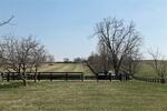5222 Paris Pike, Lexington, KY 40511 Photo 59