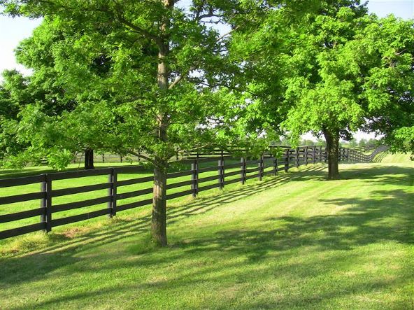 5222 Paris Pike, Lexington, KY 40511 Photo 66