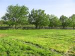 5222 Paris Pike, Lexington, KY 40511 Photo 67