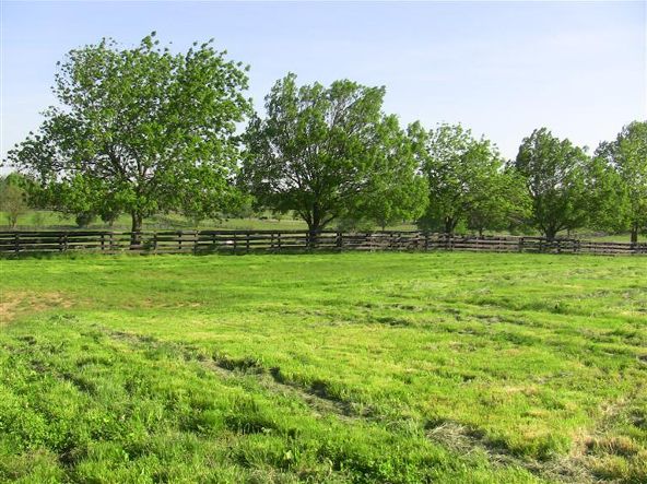 5222 Paris Pike, Lexington, KY 40511 Photo 67