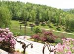4181 Hwy. 67 West, Mountain City, TN 37683 Photo 6